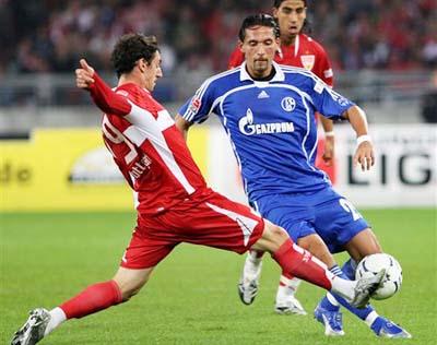 手树立了榜 手树立了榜